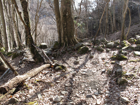 20160218hike (566)